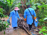 Eliminan 5 toneladas de potenciales criaderos del zancudo transmisor del dengue