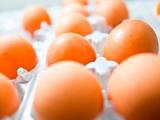 Consumo de huevos previene enfermedades cardíacas y cerebrovasculares