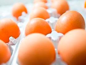 Consumo de huevos previene enfermedades cardíacas y cerebrovasculares