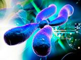Longitud telomérica predice la enfermedad coronaria