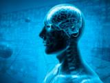 Estimulación cerebral mejora la memoria