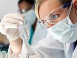 Metilglioxal acelera la degradación y deterioro del HDL