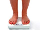 Trasplante de tejido adiposo marrón puede revertir la obesidad