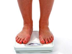 Trasplante de tejido adiposo marrón puede revertir la obesidad