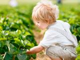 Pesticidas se vincula con más síntomas de TDAH