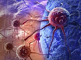 Anticuerpos detienen la evasión inmunológica del cáncer