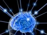 Ambiente de microgravedad altera la estructura cerebral