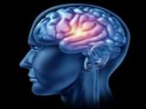 Identificación de marcadores moleculares del glioblastoma