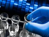 Edición génica elimina genoma del VIH desde linfocitos