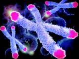 Telómeros: biomarcadores para el cáncer de colon