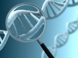 Análisis molecular identifica patologías genéticas de recién nacidos