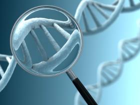 Análisis molecular identifica patologías genéticas de recién nacidos