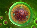 Inmunoterapia suprime rebote de VIH 