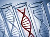 ADN circulante: nuevas mejoras para detectar tumores