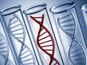 ADN circulante: nuevas mejoras para detectar tumores