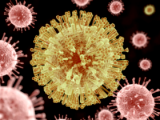El virus del Zika puede causar artrogriposis