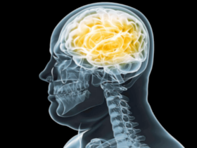 La obesidad provoca envejecimiento prematuro del cerebro