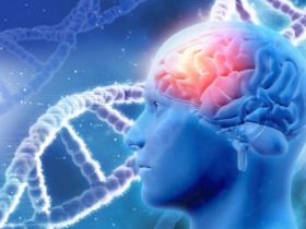 Transferencia génica reduce la degeneración neuronal