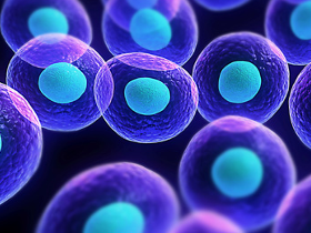 Células humanas pueden modificar material genético del virus Zika 