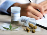 Marihuana medicinal y su impacto sobre la función ejecutiva