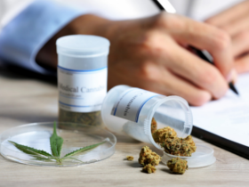 Marihuana medicinal y su impacto sobre la función ejecutiva