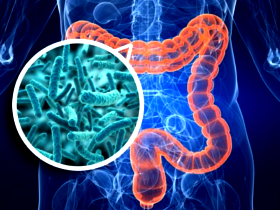 Inmunoglobulinas pueden seleccionar una microbiota saludable