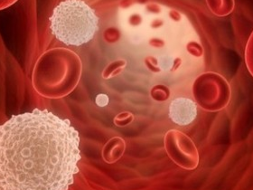 La metástasis se potencia con la ingesta de grasas saturadas