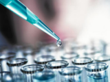 Vacuna contra el ébola es altamente efectiva