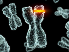 Mutaciones predicen agresividad de cáncer de próstata