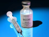 Parásitos genéticamente debilitados contra la malaria