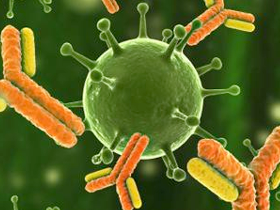 Anticuerpo monoclonal suprime viremia en pacientes con VIH
