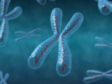 Cáncer pancreático se potencia con cambios epigenéticos