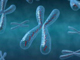 Cáncer pancreático se potencia con cambios epigenéticos