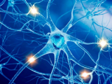 Eficacia de Ocrelizumab para tratar la esclerosis múltiple 