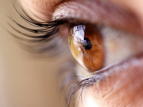 Células madre logran frenar la degeneración macular