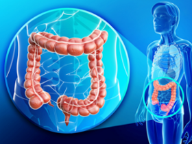 Bacteria promueve quimiorresistencia tumoral mediante autofagia