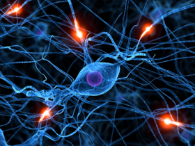 Curcumina puede prevenir la neurodegeneración