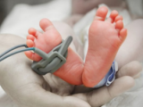 Nacimiento prematuro altera redes neuronales infantiles