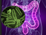 Ambiente determina la composición de la microbiota intestinal