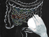 Fármacos y su relación con la microbiota intestinal