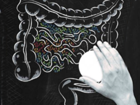 Fármacos y su relación con la microbiota intestinal
