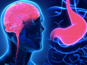 El rol de péptidos intestinales en la depresión