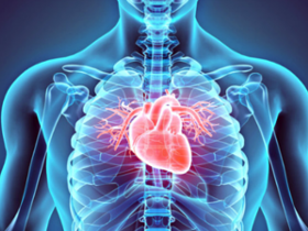 IMC elevado impacta la salud cardiovascular