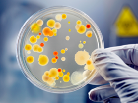 Albomicina contra bacterias multirresistentes