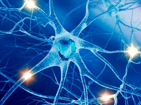 Ibudilast ralentiza atrofia cerebral en esclerosis múltiple