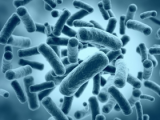 Microbiota como predictor de obesidad infantil 