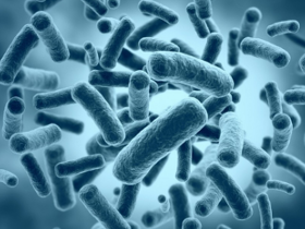 Microbiota como predictor de obesidad infantil 