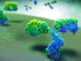 Bloqueo de CD47 + Rituximab: una relación sinérgica