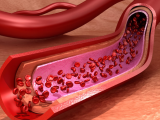 Receptor de VEGF regula la función endotelial vascular
