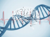 Evaluación genómica del funcionamiento cerebral